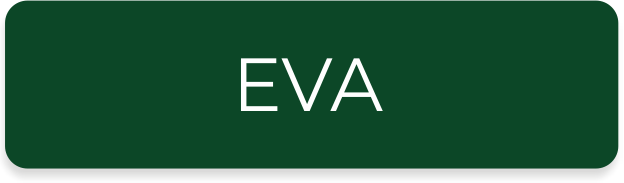 Система EVA